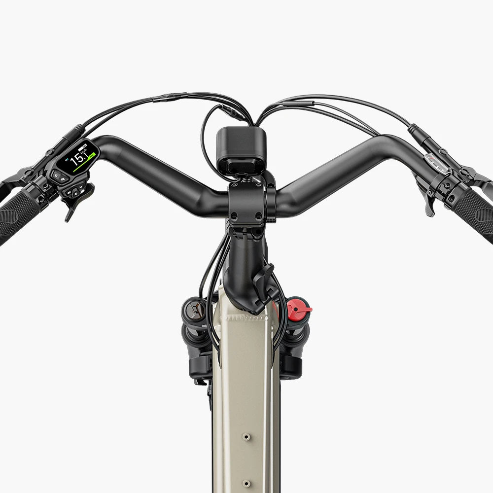 Fiido T3 Max Vélo Électrique Cargo Longtail