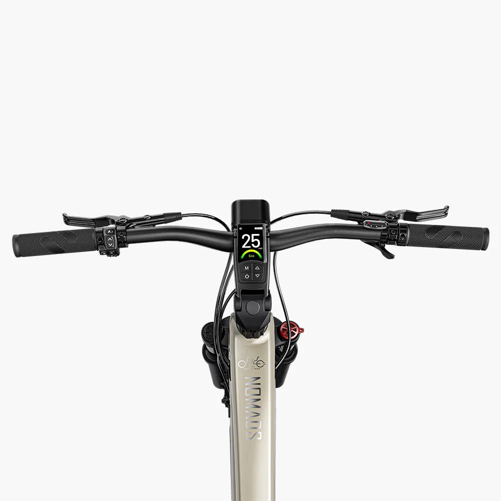 Fiido Nomads Vélo de randonnée électrique
