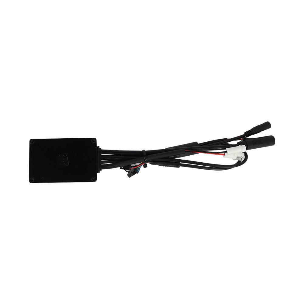 Fiido X Contrôleur 250W