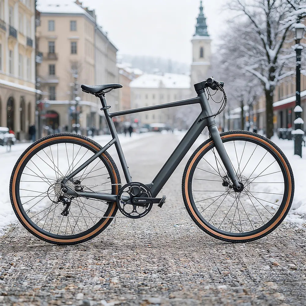 Fiido C21 E-Gravel & Vélo Èlectrique Urbain