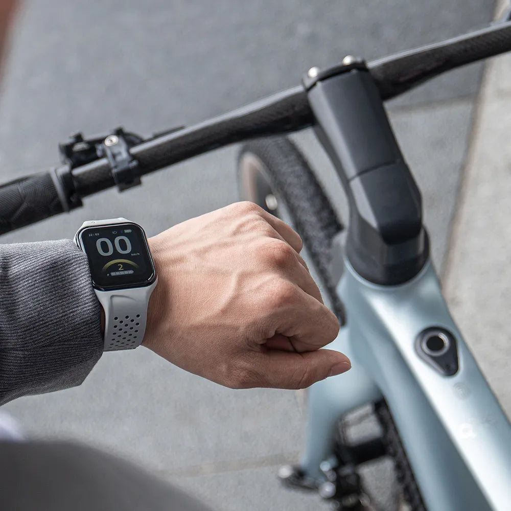 Fiido Air Vélo Électrique Ultraléger en Fibre de Carbon