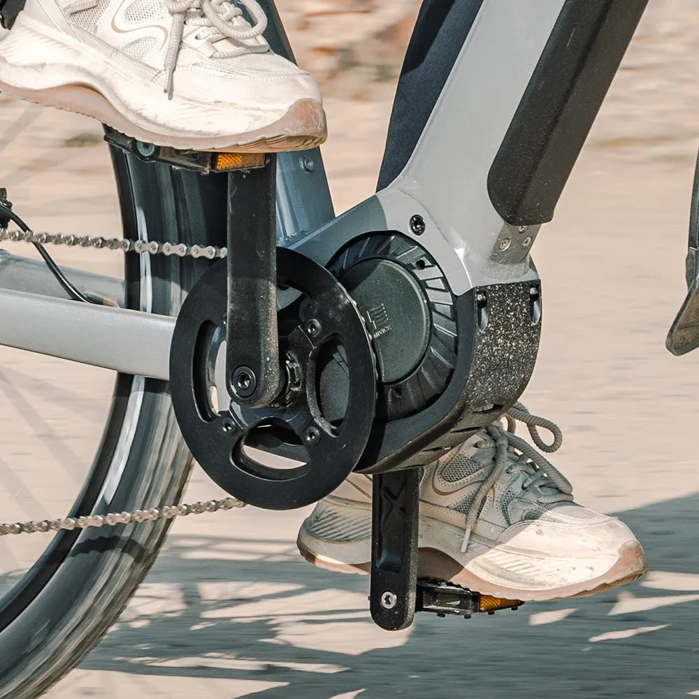 Fiido Nomads Pro Vélo Électrique de Randonnée
