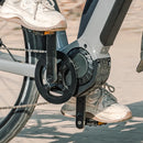 Fiido Nomads Pro Vélo Électrique de Randonnée