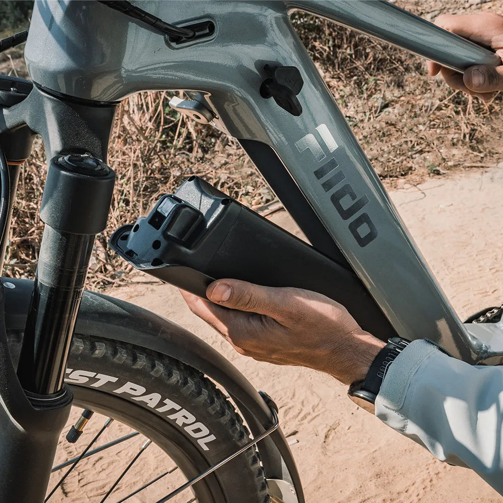 Fiido Nomads Pro Vélo Électrique de Randonnée