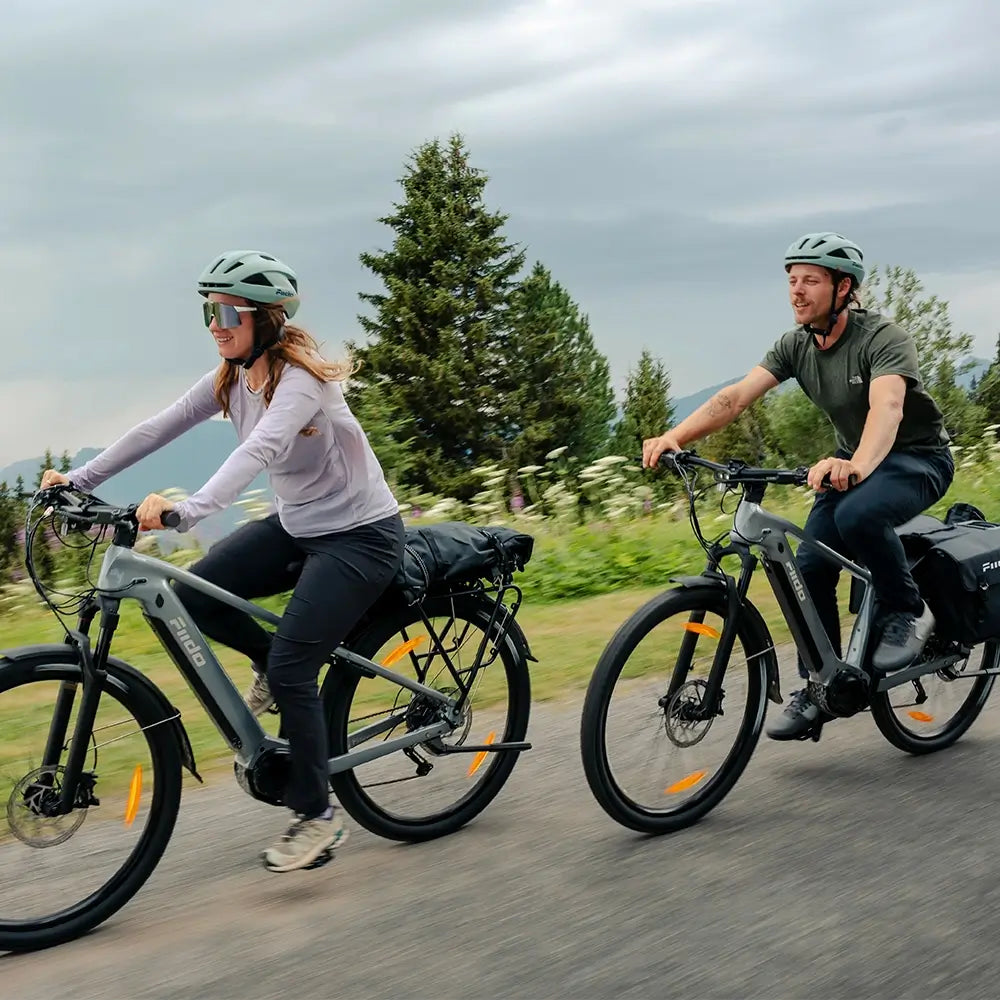 Fiido Nomads Pro Vélo Électrique de Randonnée