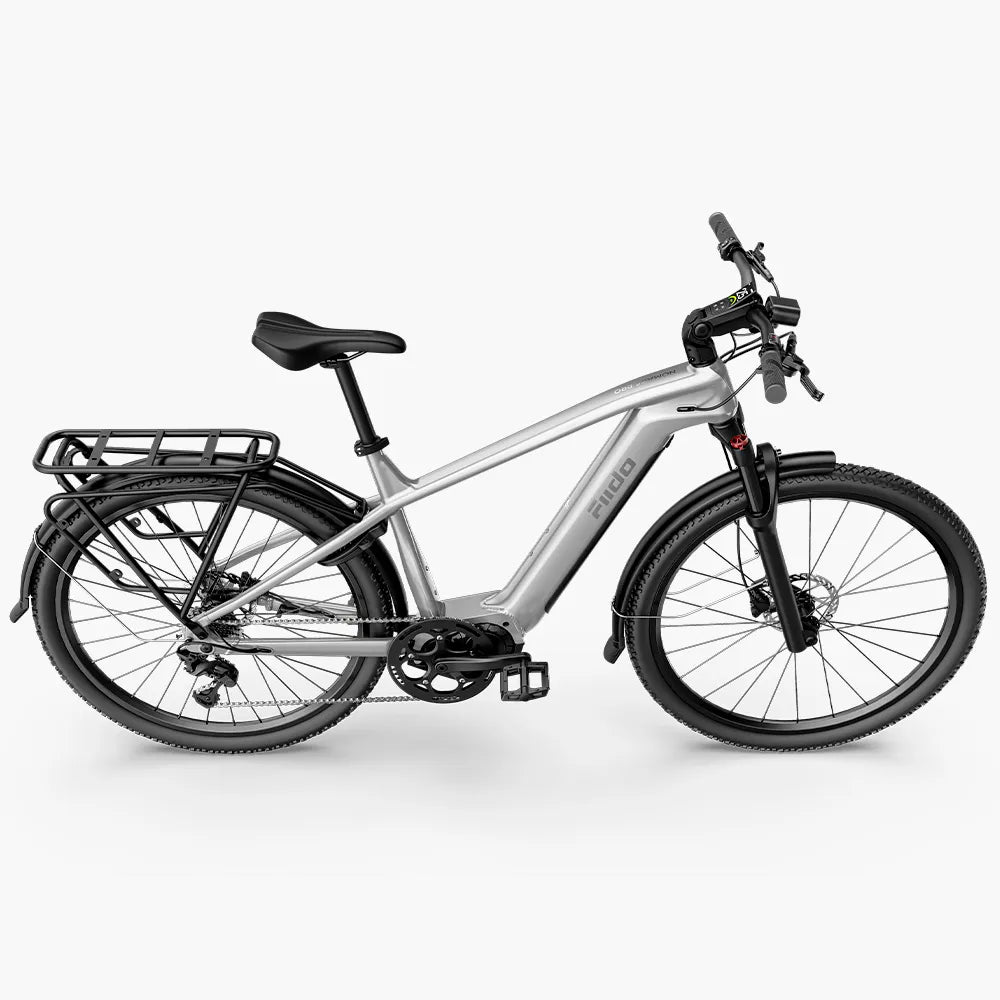 Fiido Nomads Pro Vélo Électrique de Randonnée