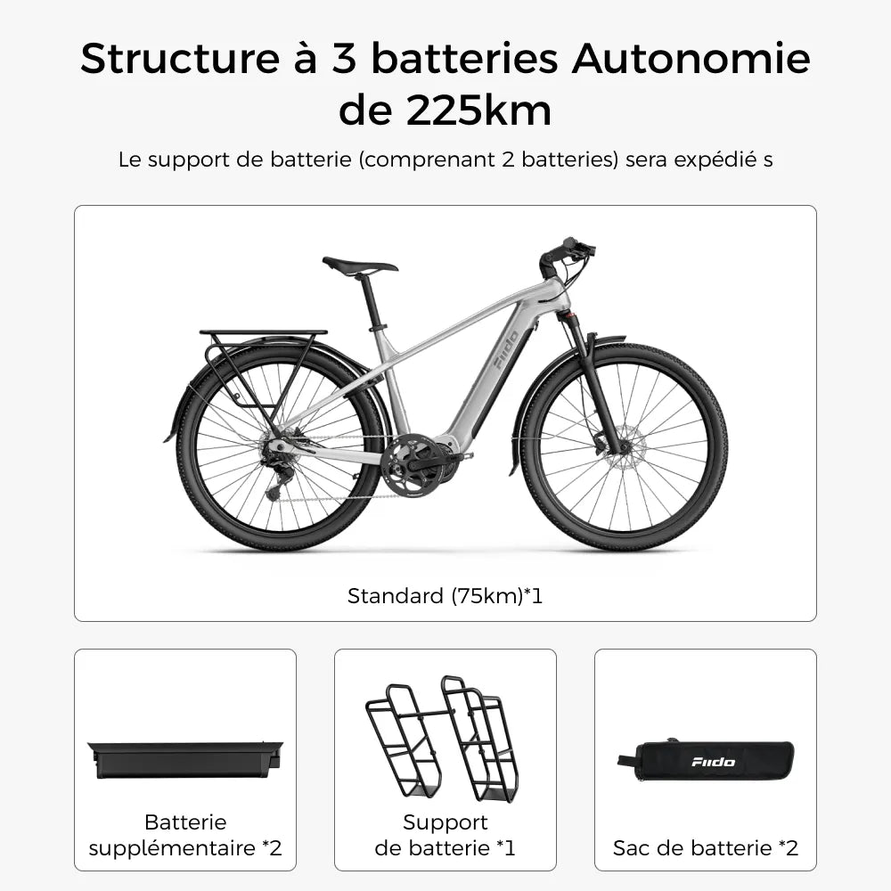 Fiido Nomads Pro Vélo Électrique de Randonnée
