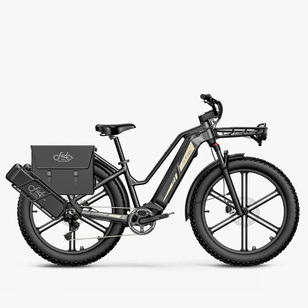 Titan Fat Tire Touring Vélo électrique - Longue portée