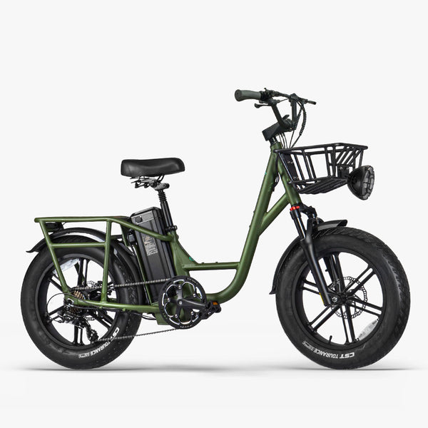 Fiido T1 Pro - Vélo électrique Fatbike Cargo