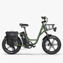 Fiido T1 Pro Vélo électrique Fatbike Cargo