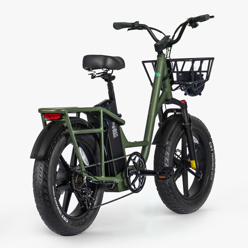 Fiido T1 Pro Vélo Électrique Utilitaire