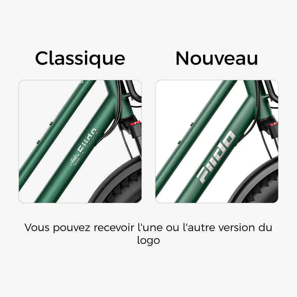 Fiido T2 Vélo électrique Longtail Fatbike Cargo