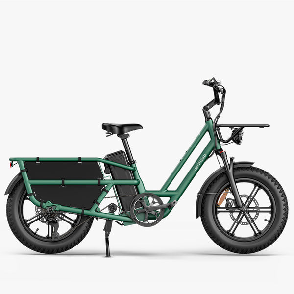 Fiido T2 Longtail Cargo E-Bike Vert‘
