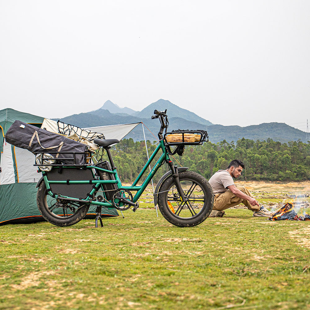 Fiido T2 Long Tail Cargo vélo électrique garé sur l'herbe