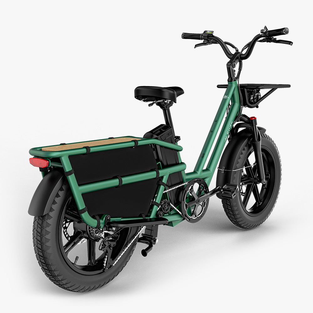 Vue arrière du vélo électrique cargo à longue queue Fiido T2 Vert