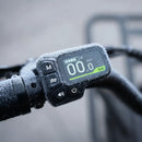 Fiido T2 Vélo électrique Longtail Fatbike Cargo