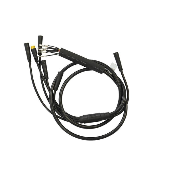 Cable Imperméable pour Fiido D11